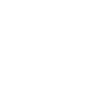 all sport for palestine logo